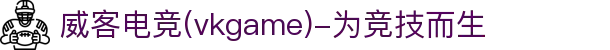 威客电竞(vkgame)-为竞技而生